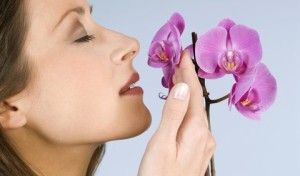 1062826_kvetina-orchidea-zena